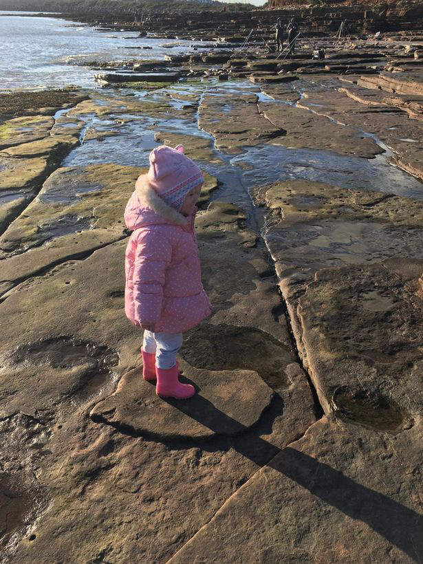 Bé gái 4 tuổi phát hiện dấu chân khủng long cổ đại trên bãi biển