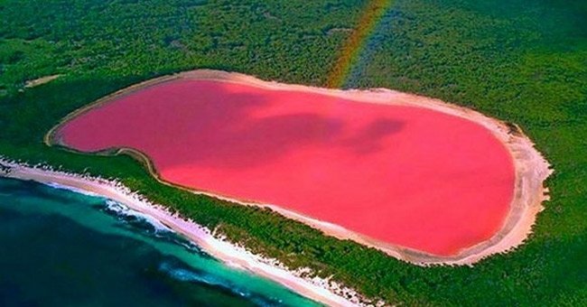 hồ hillier, hồ nước màu hồng bí ẩn ở úc có nồng độ muối ngang ngửa biển chết