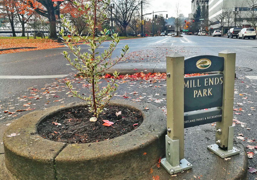 “mill ends park”, công viên mill ends, dick fangen, khám phá công viên nhỏ nhất thế giới, nơi chỉ có duy nhất một cái cây