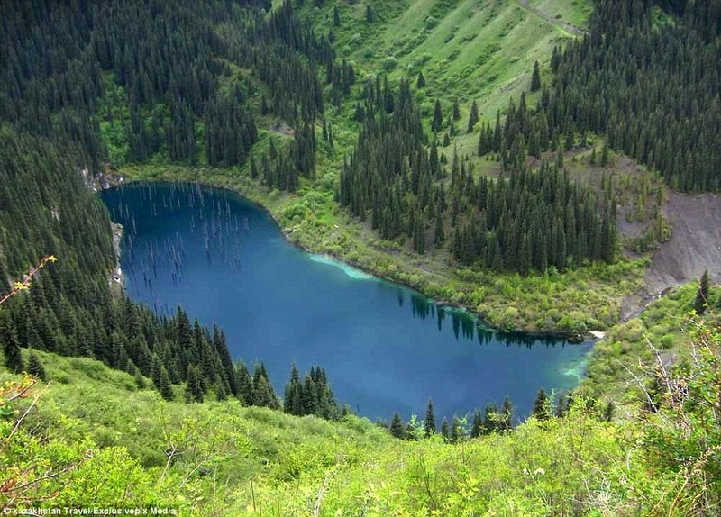 {}, khu rừng tuyệt đẹp chìm dưới hồ nước xanh ngọc ở kazakhstan
