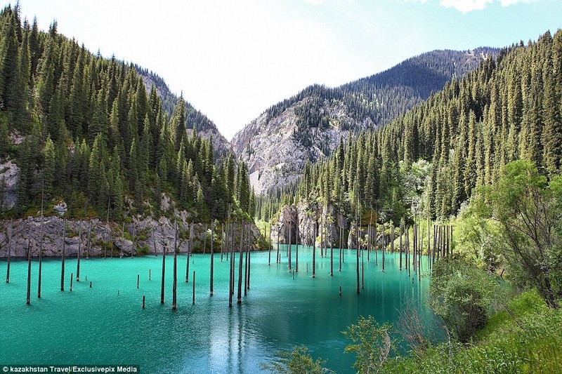 {}, khu rừng tuyệt đẹp chìm dưới hồ nước xanh ngọc ở kazakhstan