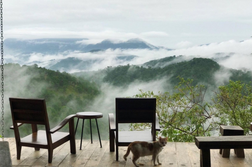 cafe săn mây đà lạt, gọi tên 9 quán cafe vàng trong làng săn mây ở đà lạt [2022]