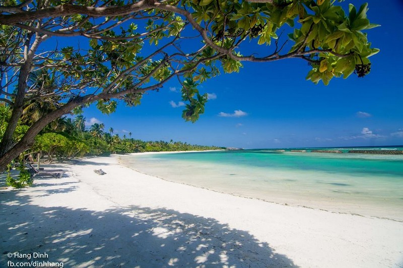 Vì sao bạn tuyệt đối không nên đi Maldives?