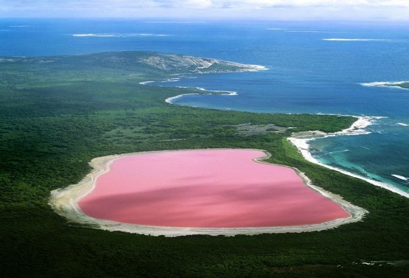 Kì bí hồ muối màu hồng ở Australia