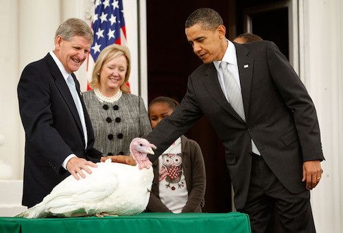 disneyland, gà tây, lễ tạ ơn, tổng thống obama, vì sao gà tây là món ăn truyền thống trong lễ tạ ơn?