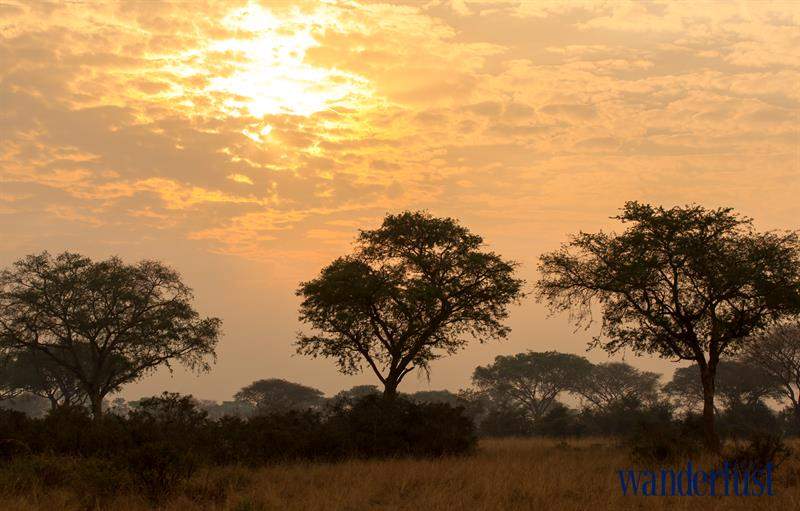 Uganda – Vùng đất lãng mạn ở thượng nguồn sông Nile