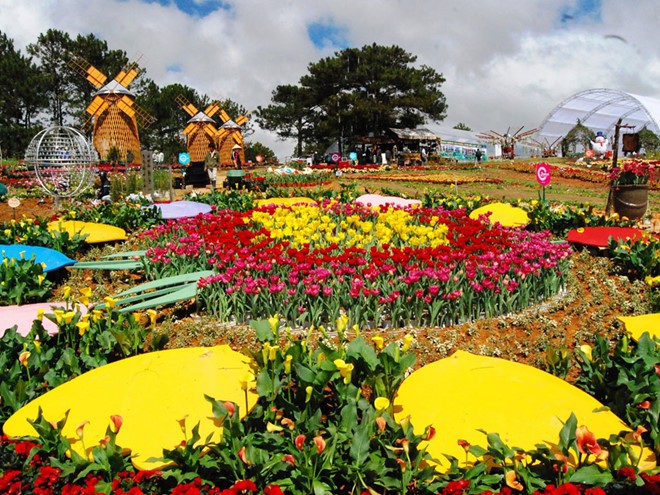 vườn hoa đà lạt, vườn hoa cẩm tú cầu đà lạt – điểm đến làm say lòng du khách