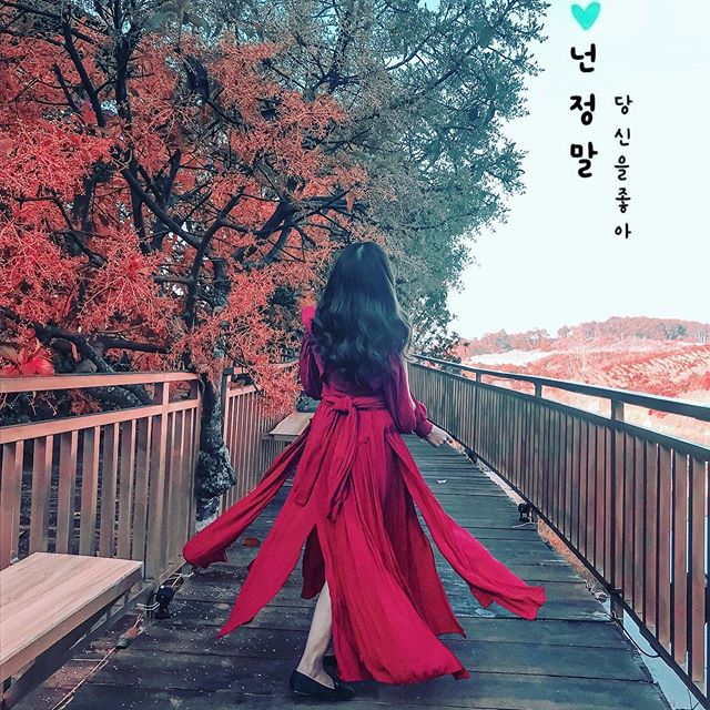 Siêu HOT “con đường Hàn Quốc” ngay Đà Lạt lên hình bao đẹp khiến giới trẻ điêu đứng