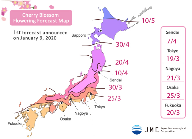 Du lịch Nhật Bản | Lịch dự báo hoa anh đào nở 2020