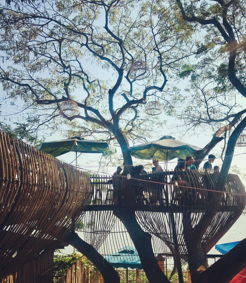 Đi Cần Thơ bắt gặp quán cà phê trên cây đẹp tựa như ở Thái Lan