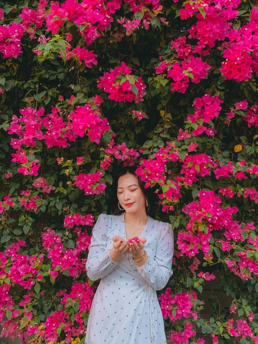 Con đường hoa giấy Sài Gòn nở rộ đẹp tựa chốn cổ tích - ALONGWALKER