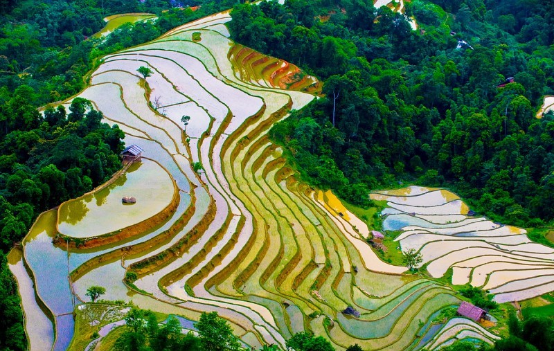 Ngắm mùa nước đổ ruộng bậc thang Hoàng Su Phì từ homestay ở Hà Giang