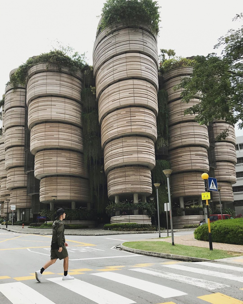 dia diem du lich singapore, du lịch singapore, nanyang university, the hive building, du lịch singapore nhớ check-in “tòa nhà giỏ dimsum” sang độc lạ