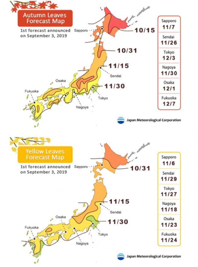Dự báo ngày lá đỏ và lá vàng đẹp nhất cho khách du lịch Nhật Bản