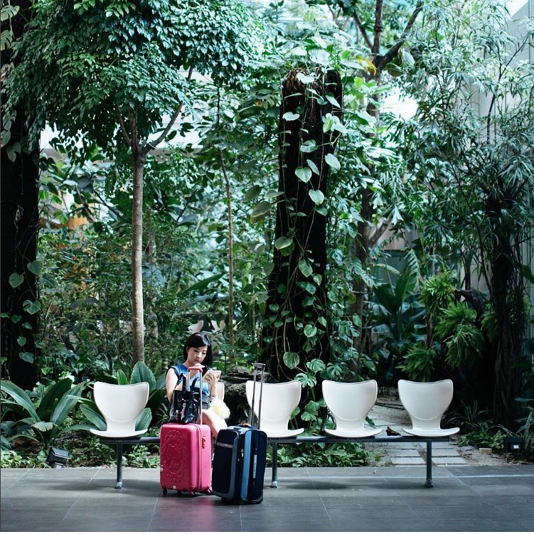 du lịch singapore, sân bay changi, du lịch singapore trải nghiệm “sân bay nhà người ta” trong truyền thuyết