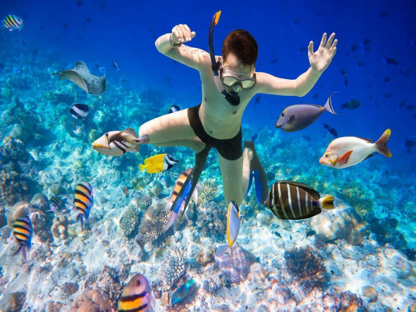 du lịch nha trang, đặt phòng, đi nha trang, đi nha trang trải nghiệm cảm giác lặn biển ngắm san hô thỏa thích
