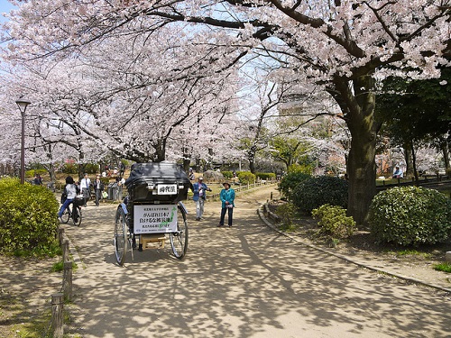 10 điểm ngắm hoa anh đào tại Nhật Bản