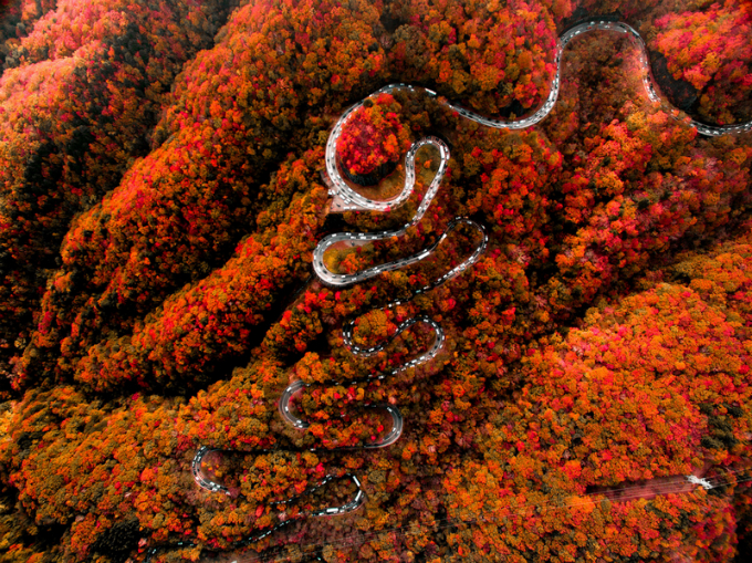 Bức tranh mùa thu nơi con đường nguy hiểm bậc nhất thế giới ở Nhật