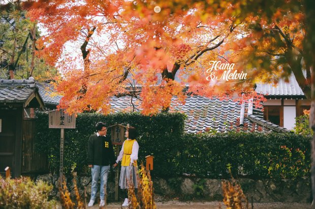 Chỉ ước một lần được chụp ảnh cưới ở Nhật, bởi vào mùa thu, nước Nhật đẹp đến thế này cơ mà!