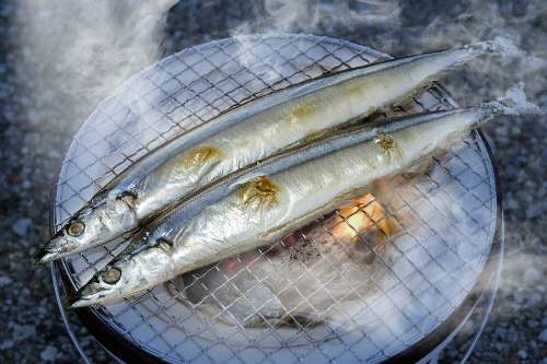 Cá thu đao – món chưa ăn là chưa biết mùa thu Nhật Bản