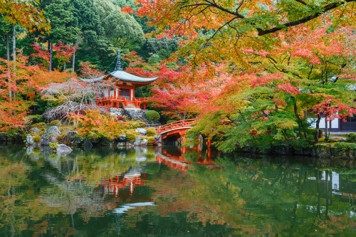 Du lịch Tokyo vào mùa thu sao cho tiết kiệm?