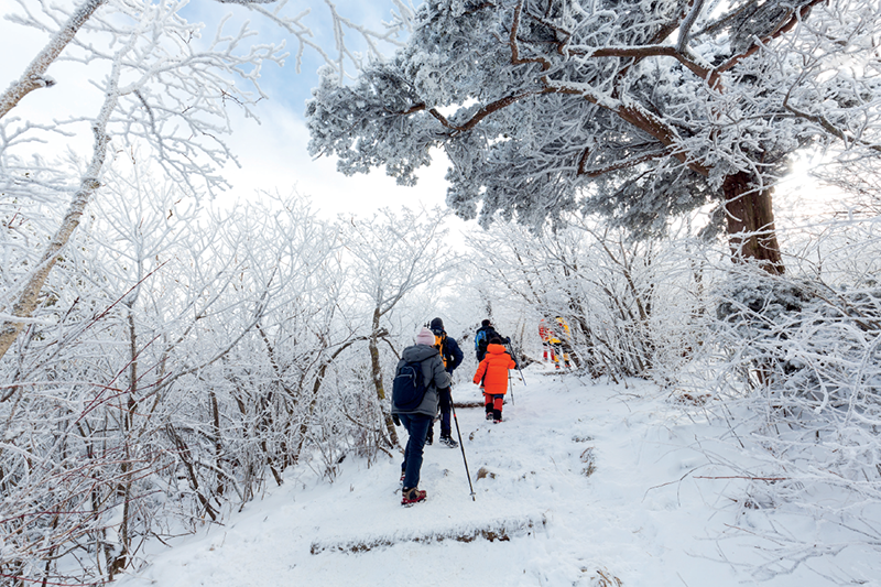 8 điều để phải đến Gangwon-do – Xứ sở thần tiên mùa đông ở Hàn Quốc