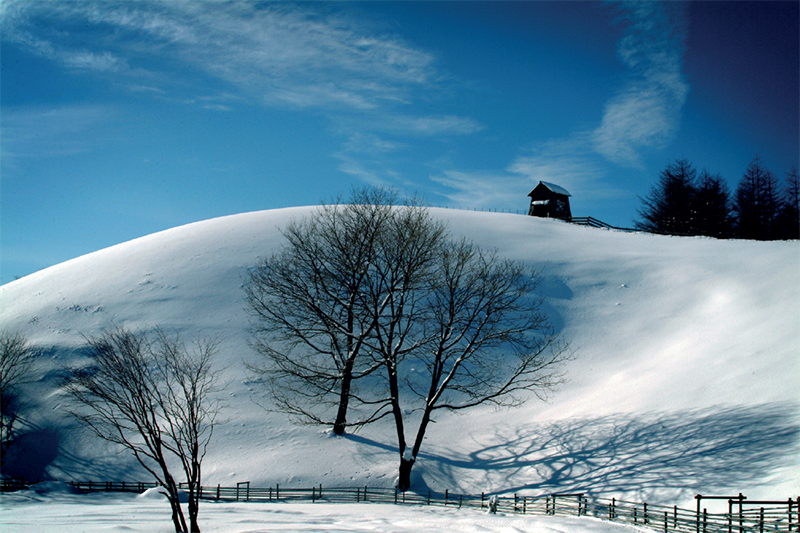 gangwon-do, 8 điều để phải đến gangwon-do – xứ sở thần tiên mùa đông ở hàn quốc