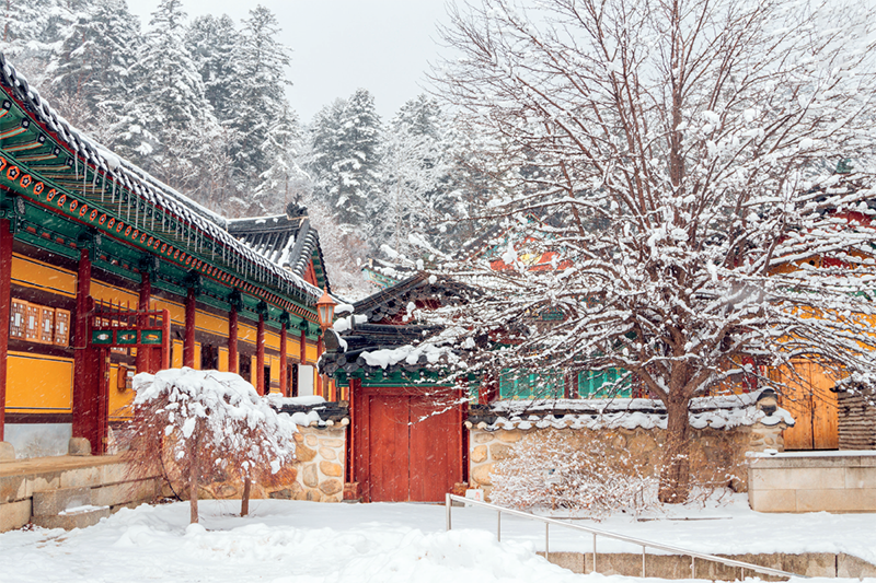 gangwon-do, 8 điều để phải đến gangwon-do – xứ sở thần tiên mùa đông ở hàn quốc