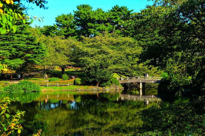 khu vườn giữa tokyo được đổi tên sau khi lên phim hoạt hình