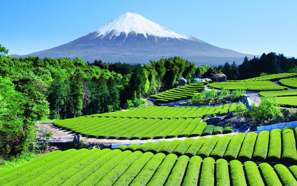 Sự thật thú vị về ngọn núi Phú Sĩ linh thiêng ở Nhật Bản