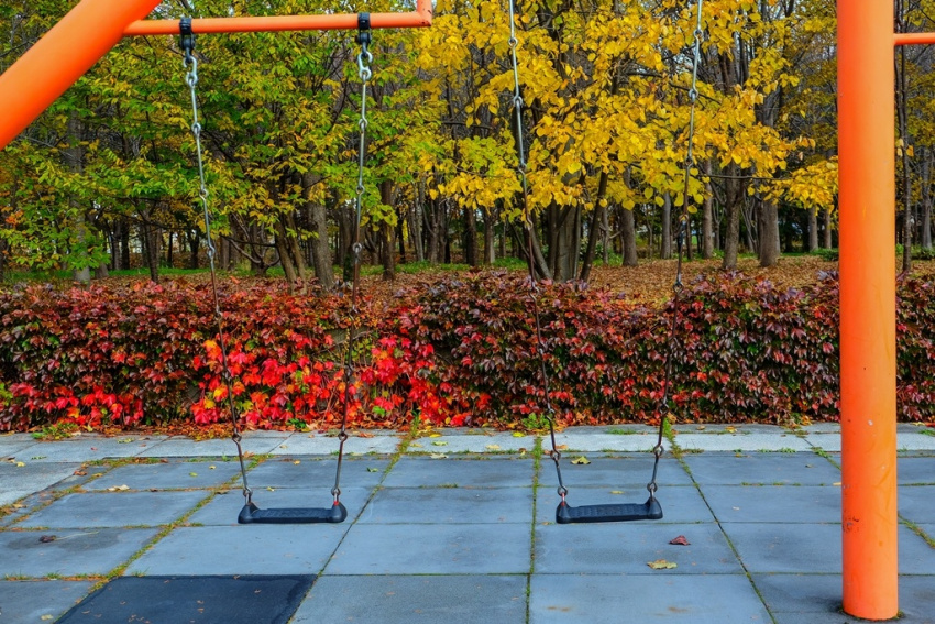 ba sắc màu tạo nên mùa thu rực rỡ ở hokkaido