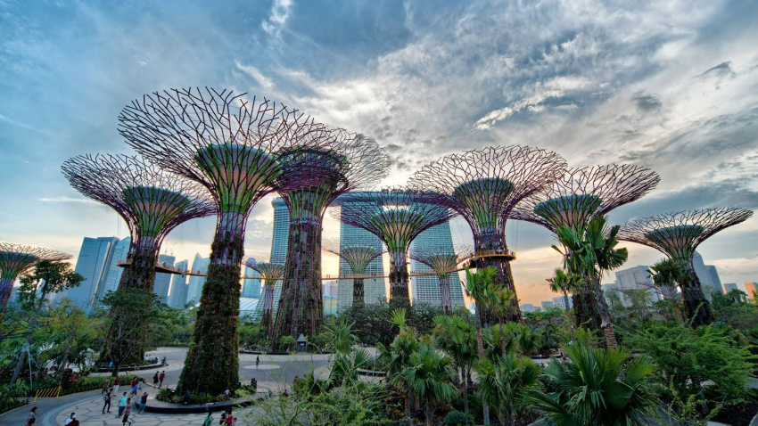 Du lịch Singapore khám phá Garden By The Bay – công trình khiến cả thế giới thán phục
