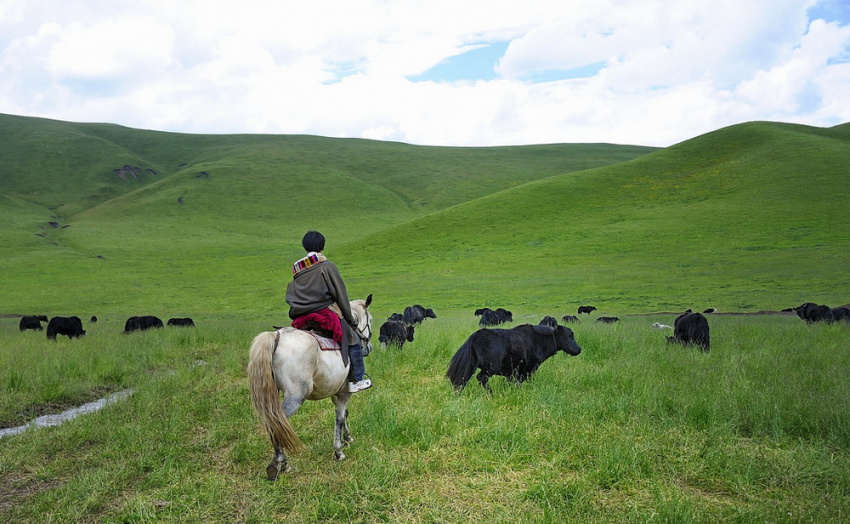 Du lịch Trung Quốc-cần chú ý gì ở Tây Tạng?