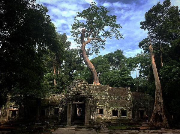 du lịch campuchia, ta prohm, ta prohm – ngôi đền bị ôm trọn bởi những thân cây cổ thụ