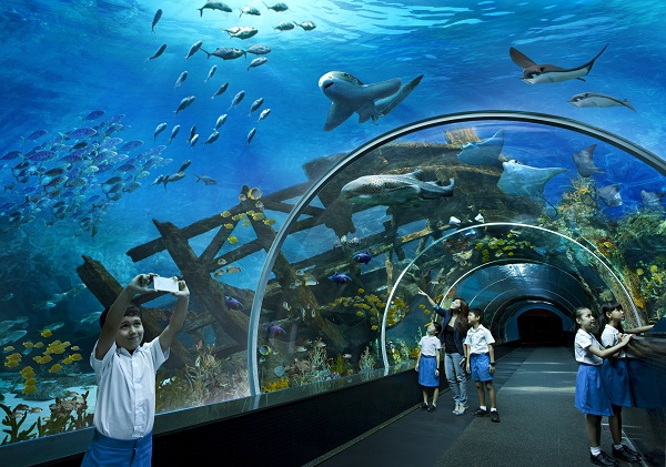 Thủy cung lớn nhất Thế Giới S.E.A Aquarirum ở Singapore