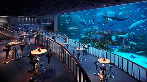 du lịch singapore, s.e.a aquarirum, thủy cung lớn nhất thế giới s.e.a aquarirum ở singapore