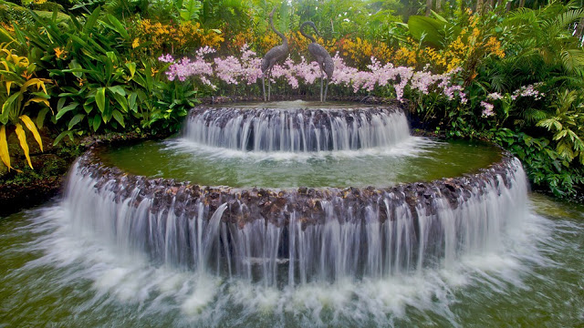 Vườn Bách Thảo Singapore – ốc đảo xanh giữa lòng thành phố