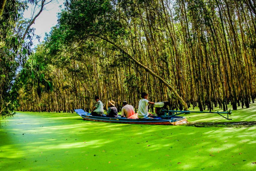 Du lịch 2/9 – khám phá 4 khu rừng tràm đẹp nhất Việt Nam