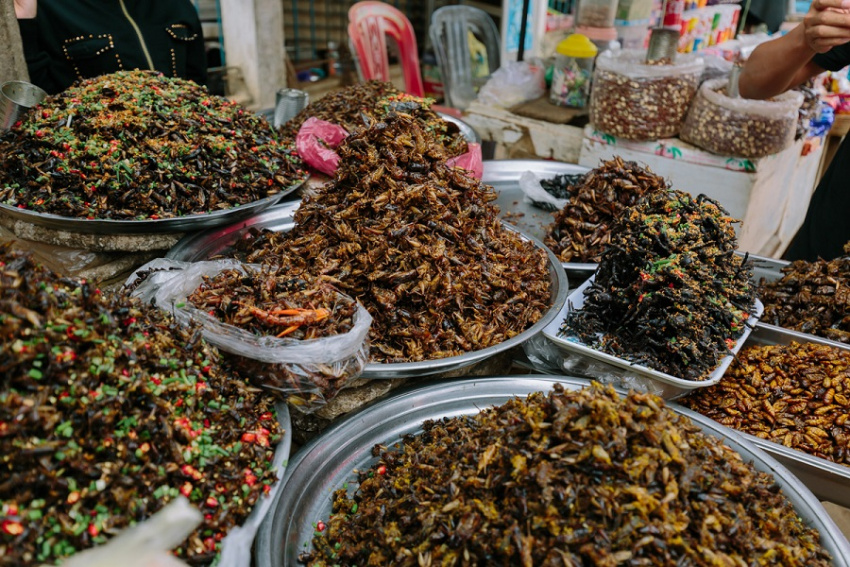 Thực đơn độc đáo từ …. côn trùng khi du lịch Campuchia