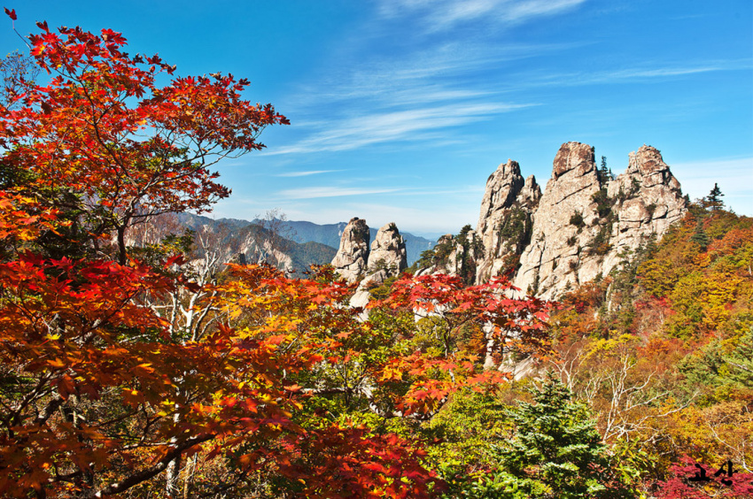 hàn quốc instagram, korea autumn, koreatravel, những bức ảnh du lịch hàn quốc làm chao đảo instagram