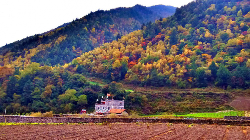 Thiên đường mùa thu Trung Quốc hút hồn du khách tham quan