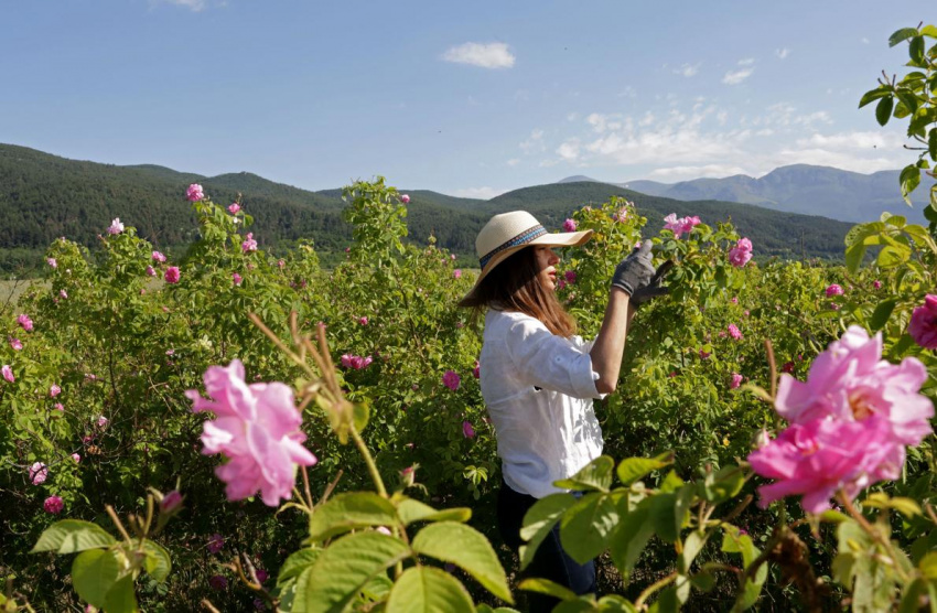 du lịch bulgaria, du lịch châu âu lạc vào thung lũng hoa hồng