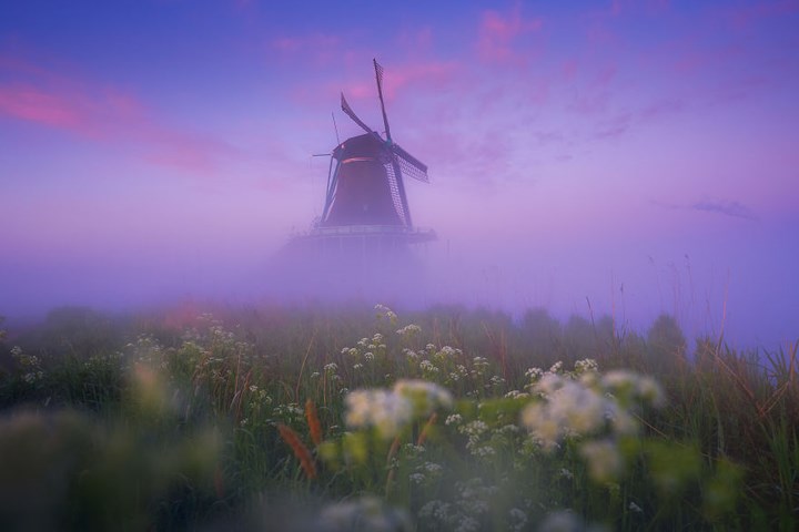 Làng cối xay gió ở Hà Lan chìm trong sương mù huyền ảo như cổ tích