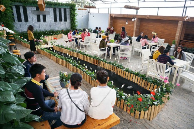 Đi Đà Lạt trải nghiệm quán cà phê cho khách ngồi trong nhà kính trồng rau