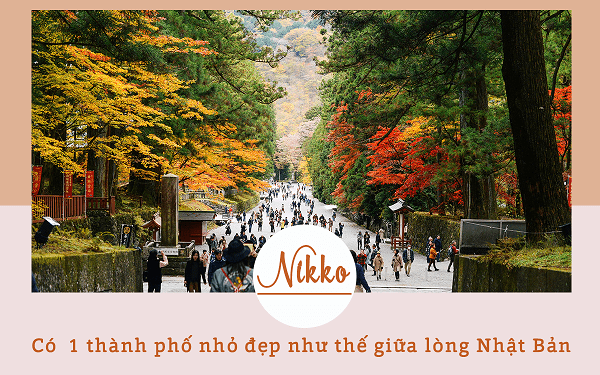 Kinh nghiệm du lịch Nikko kèm hướng dẫn đường đi từ Tokyo