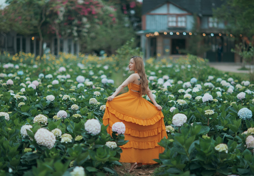 Thiên đường cũng chỉ đẹp như vườn hoa cẩm tú cầu Bắc Giang mà thôi!