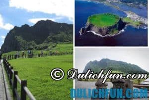 hàn quốc, review 7 điểm du lịch nổi tiếng ở đảo jeju địa chỉ & giá vé
