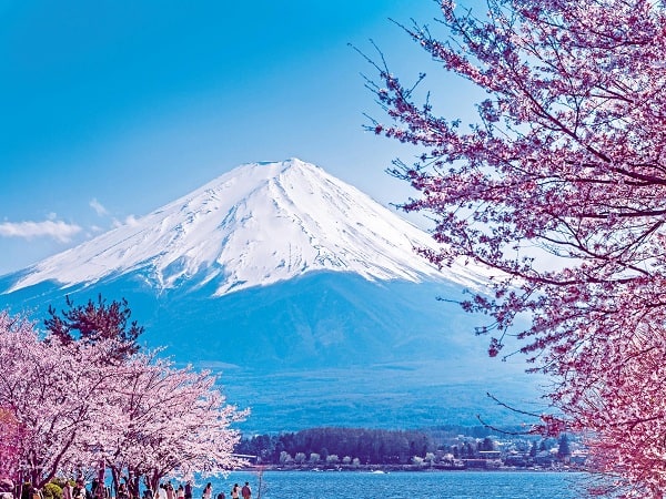 Du lịch Nhật Bản mùa xuân nên đi đâu tham quan, vui chơi?