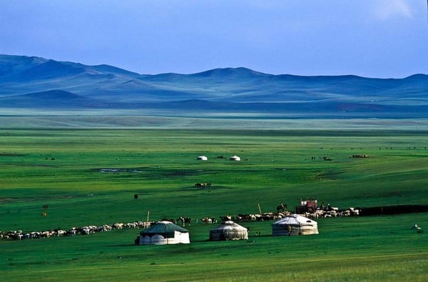 Hướng dẫn thủ tục xin visa du lịch Mông Cổ thuận lợi từ A-Z