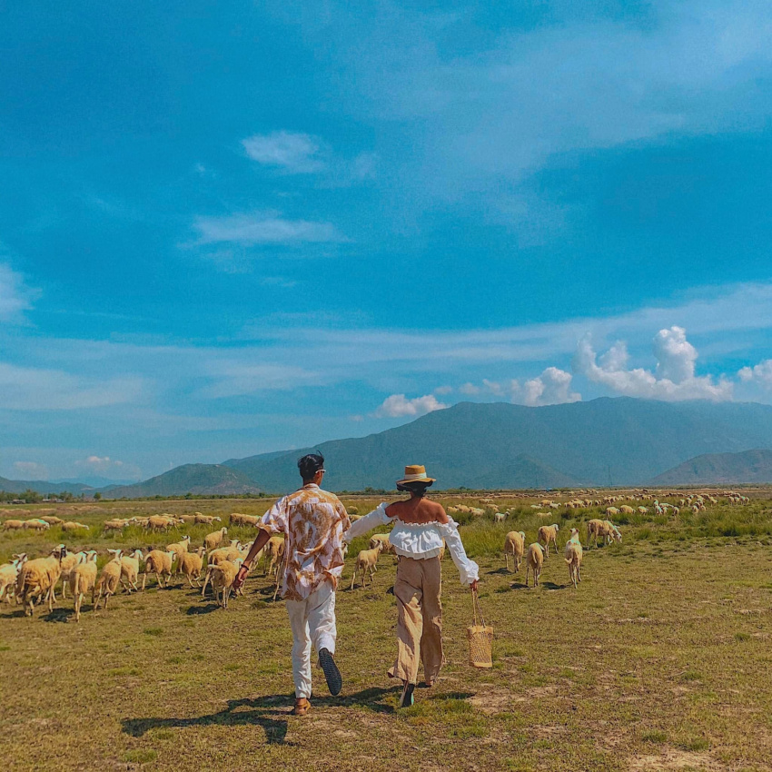 du lịch ninh thuận, 4 ngày 3 đêm khám phá miền đất “nắng như rang, gió như phang”